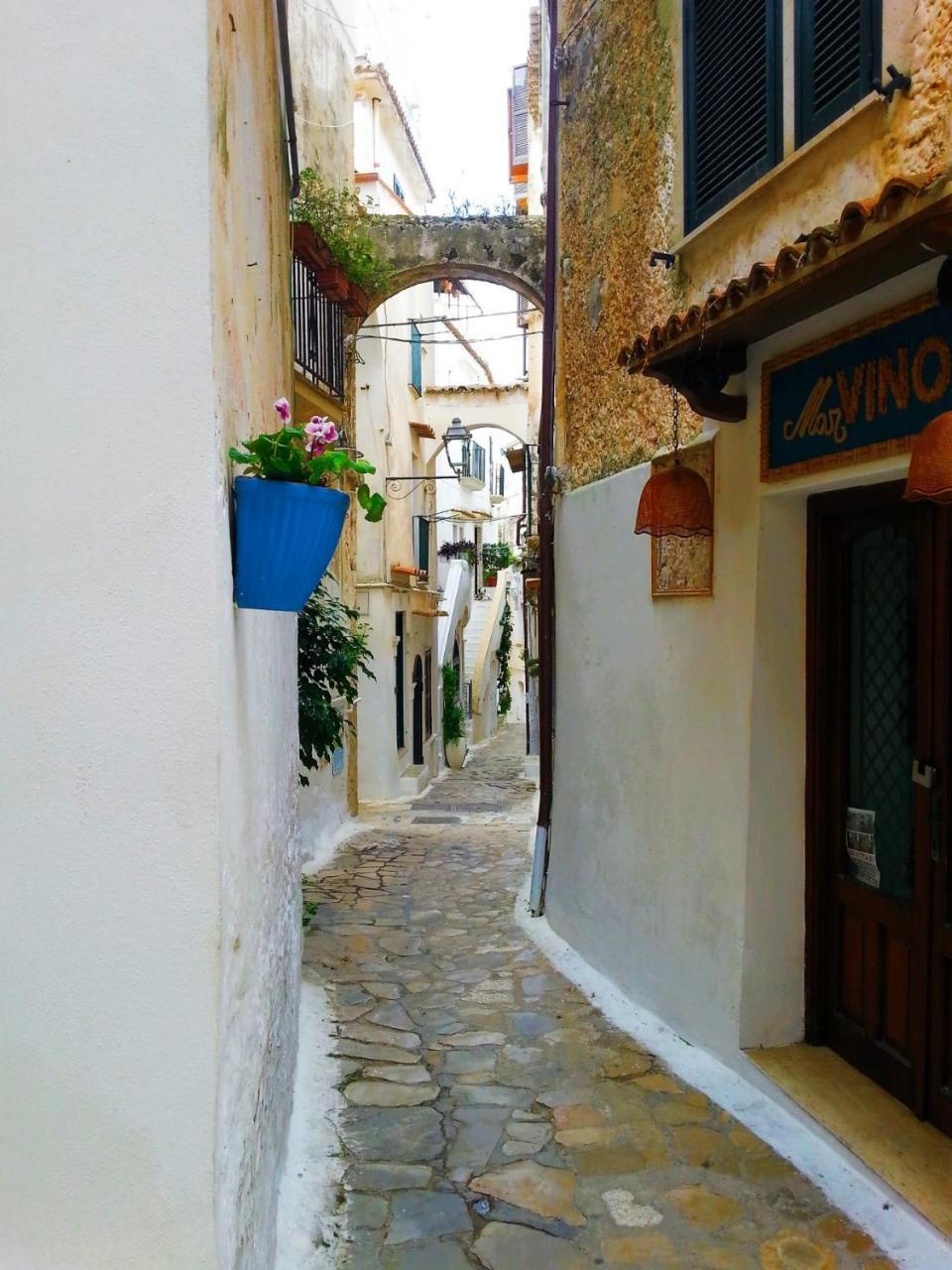 Casa Ninfa Sperlongaresort Экстерьер фото